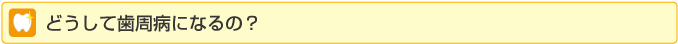 どうして歯周病になるの